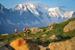Marathon du Mont Blanc